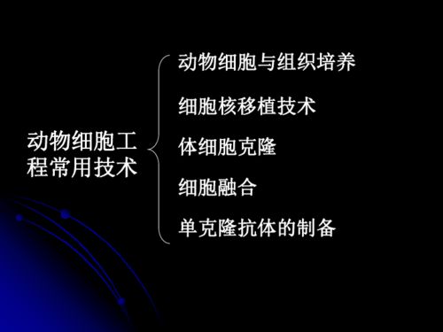 细胞工程的微观奇迹 从动物细胞到生命重塑