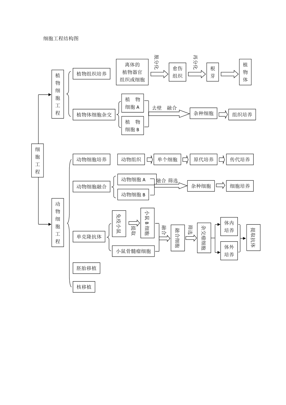 细胞工程结构图